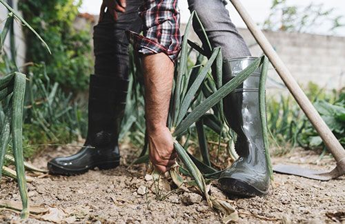 Botas de agua